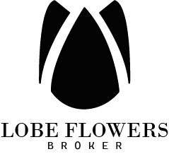 Logo de LobeFlowers